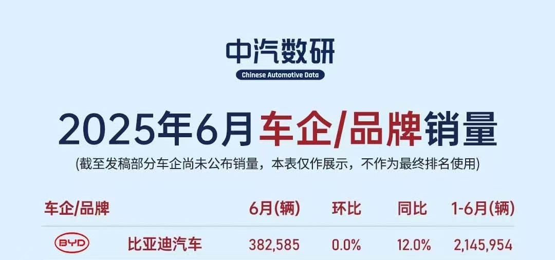 2025 年上半年汽车行业深度分析（附具体销量数据）